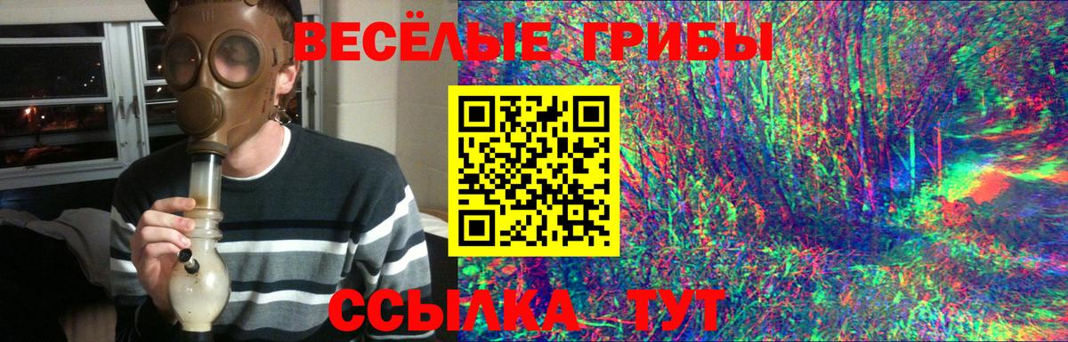 Галлюциногенные грибы Psilocybine cubensis Элиста