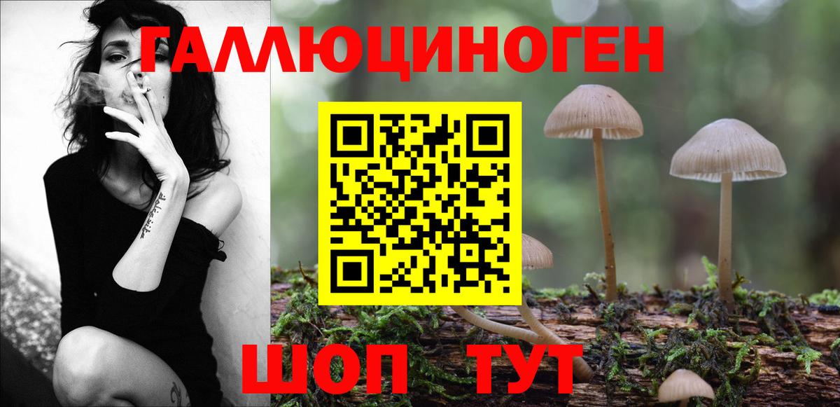 Галлюциногенные грибы MAGIC MUSHROOMS  Псилоцибиновые грибы прущие грибы  Вход с VPN  Элиста 