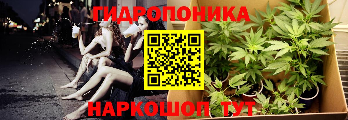 Бошки Шишки семена  Вход с VPN  Элиста  Шишки марихуана индика 